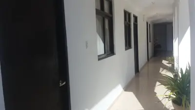 a hallway with white walls and black doors and plants at La Maison de Lydia in Nazca