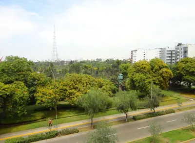 an empty street in a park with trees and buildings at San Borja, bello apartamento in Lima