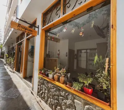 a store window with potted plants on a street at El Huerto Hostel in Ica