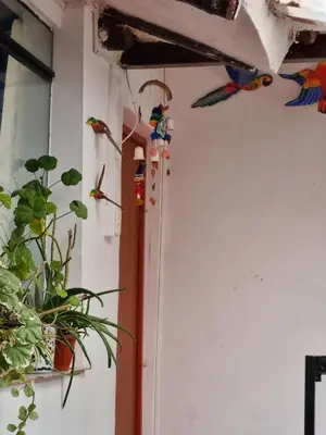 a room with colorful birds on the wall at La Casa de Laura - Plaza in Cusco