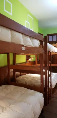 a group of bunk beds in a room at Pirwa Backpackers Colonial in Cusco