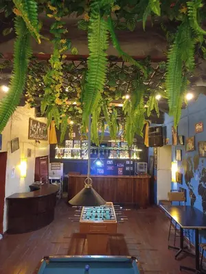 a bar with green plants hanging from the ceiling at Pirwa Backpackers Colonial in Cusco