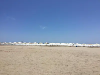 a row of white umbrellas on a beach at La Casa del Jota in Asia