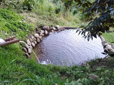 a small pond with rocks in the middle of a field at San Alberto Ecolodge in Oxapampa