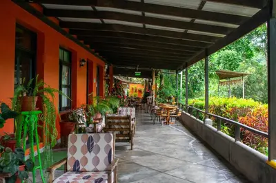 an outdoor patio with chairs and tables and plants at Fundo San Jose Parque Ecológico & Lodge Hotel Asociado Casa Andina in La Merced