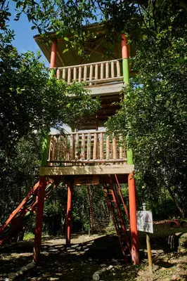 a tree house sitting in a tree at Fundo San Jose Parque Ecológico & Lodge Hotel Asociado Casa Andina in La Merced