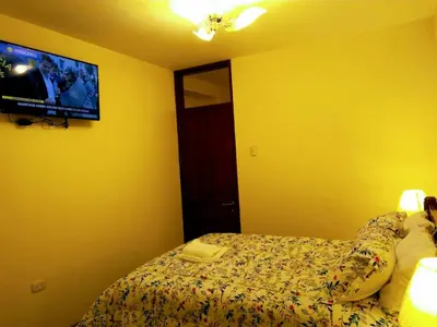 a bedroom with a bed and a tv on the wall at Hotel Elizabeth Hoss in Sayán