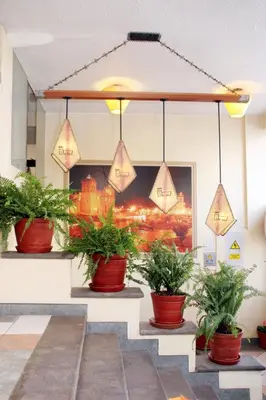 a group of potted plants sitting on a wall at Hotel El Puma in Cusco