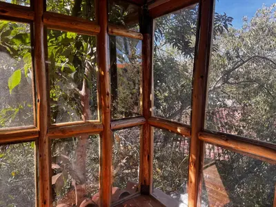 a view from a window of a tree at Casa de campo Yoga Retreat in Urubamba
