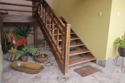 a wooden staircase in a room with potted plants at 