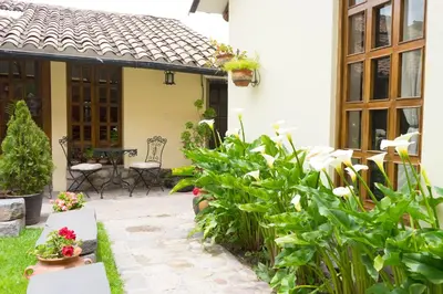 a patio of a house with plants at 