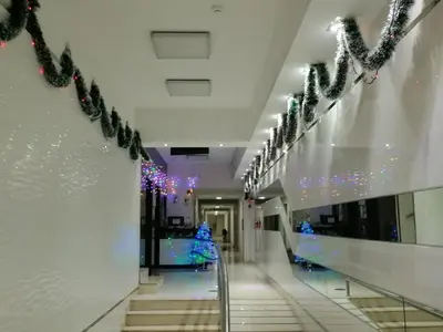 a hallway with christmas lights and a christmas tree at In the heart of Lima in Lima