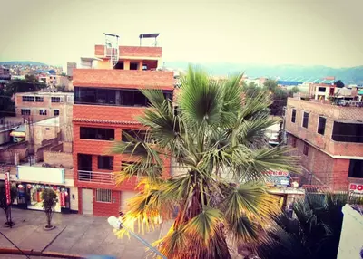 a palm tree in front of a building at Prince Hospedaje in Ayacucho