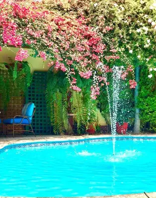 a fountain in a swimming pool with pink flowers at Peru Star Apart-Hotel in Lima