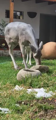a statue of a goat grazing in the grass at Casona Mollepata in Mollepata