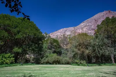 a field with trees and a mountain in the background at Tambo del Inka, a Luxury Collection Resort & Spa, Valle Sagrado in Urubamba