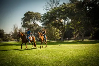 two people are riding horses in a park at Hotel Las Dunas in Ica