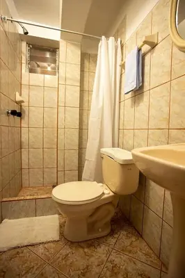 a bathroom with a toilet and a sink at Hostal La Payacha MachuPicchu in Machu Picchu