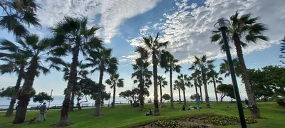 a park with palm trees and a street light at Habitación con baño privado acceso a cocina y terraza en Miraflores in Lima