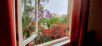 a window with a view of a garden of flowers at Habitación con dos camas, baño privado, terraza y cocina compartida en Miraflores in Lima