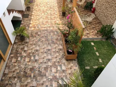 an overhead view of a garden with potted plants at Betania in Paracas