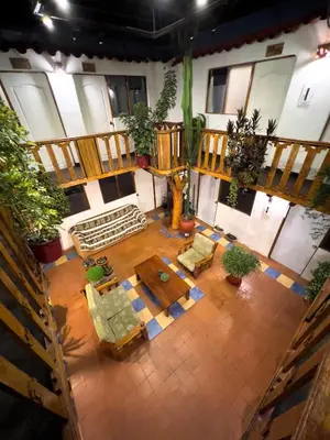 an overhead view of a living room with plants at Hostal Teatro Inka in Cusco
