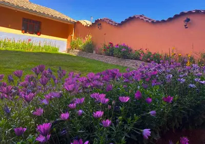 a garden with purple flowers in front of a house at Hotel Chinchero Boutique & Tours in Chinchero