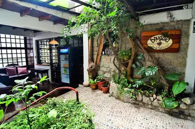 a room with a bunch of plants on the wall at Gringo Bill's Boutique Hotel in Machu Picchu