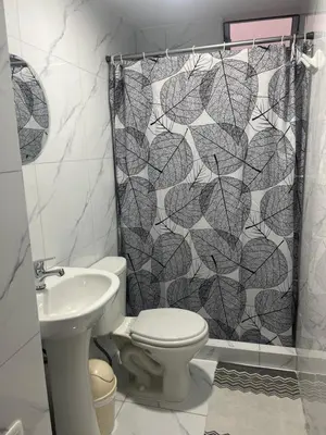 a bathroom with a toilet and a shower curtain at Uli´s house in Lima