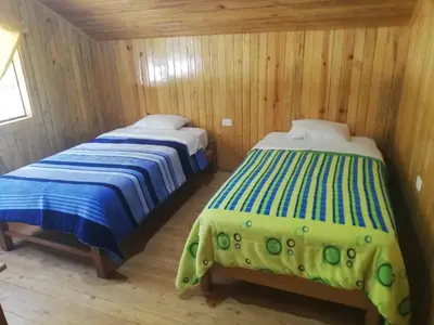two beds in a room with wooden walls at HOSPEDAJE CAMPOS ELÌSEOS in Oxapampa