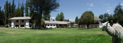 a house with two llama statues in front of it at Centro Vacacional Huaychulo in Concepción