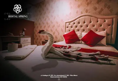a room with a bed with a swan on it at Hostal Spring II in Huánuco