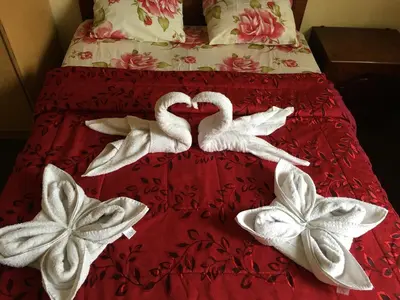 two swans making a heart on a bed at Hotel Mandarin in Lima