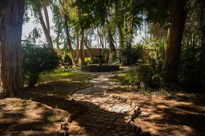 a walkway with a bench and trees in a park at Hotel Majoro in Nazca