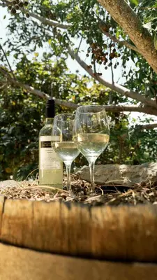 two wine glasses sitting next to a bottle of wine at La Confianza Hotel in Lunahuaná