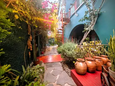 a garden with pots of plants on a pathway at La Casona Azul in Lima