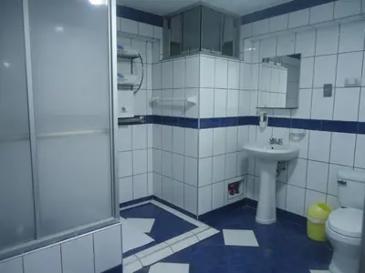 a bathroom with a shower and a toilet and a sink at Hotel Panamericano in Lima