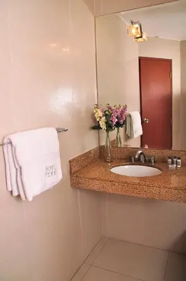 a bathroom with a sink and a vase of flowers at Hotel Ferrua in Lima