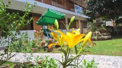a yellow flower in a garden in front of a building at Kenti's Home Ollantaytambo in Ollantaytambo
