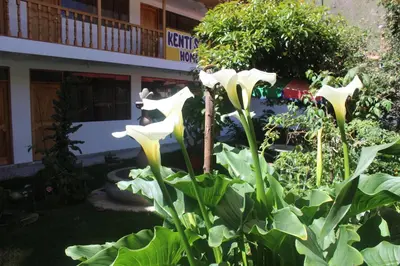 a garden with white flowers in front of a building at Kenti's Home Ollantaytambo in Ollantaytambo