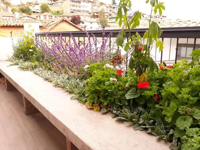 a row of flowers sitting on a balcony at Posada San Blas in Cusco