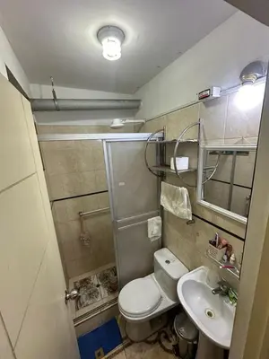 a small bathroom with a toilet and a sink at Teté in Lima
