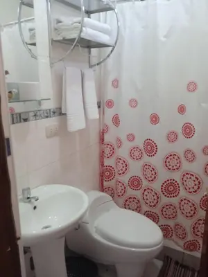 a bathroom with a white toilet and a sink at Casa Inka B&B in Ollantaytambo