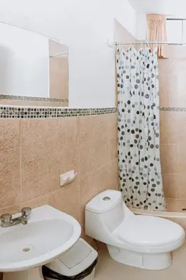 a bathroom with a toilet and a sink and a shower curtain at Keylas Hotel in Ica