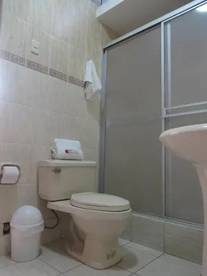 a bathroom with a toilet and a shower and a sink at Hostal Hellen Ross in Nazca