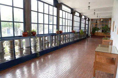 a large room with windows and plants on the counters at La Casa de Fray Bartolome in Cusco