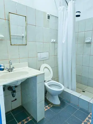 a bathroom with a toilet and a sink and a shower at Hospedaje Euro's De San Blas in Cusco