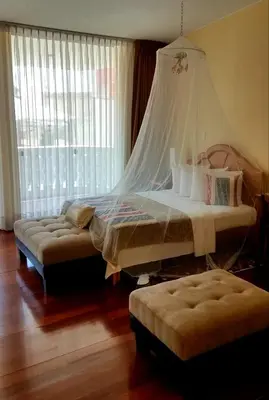 a bedroom with a bed with a mosquito net at Entire Studio-Penthouse De Luxe in Lima