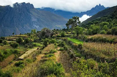 a view of a field with mountains in the background at Las Qolqas EcoResort Ollantaytambo in Ollantaytambo