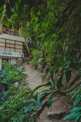 a dirt path leading up to a building with trees at Rupa Rupa High Jungle Eco B&B in Machu Picchu